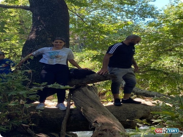 יודע לעמוד על הקווים וגם על ענפים